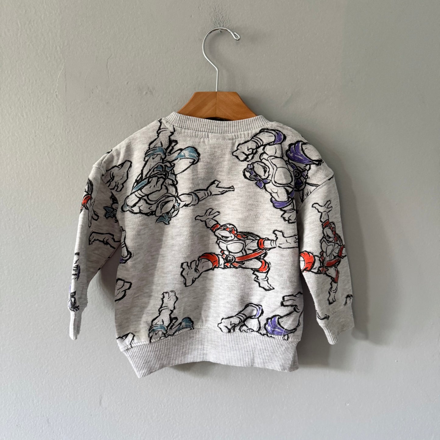 Mutant Turtles / Light grey sweatshirt / 2T