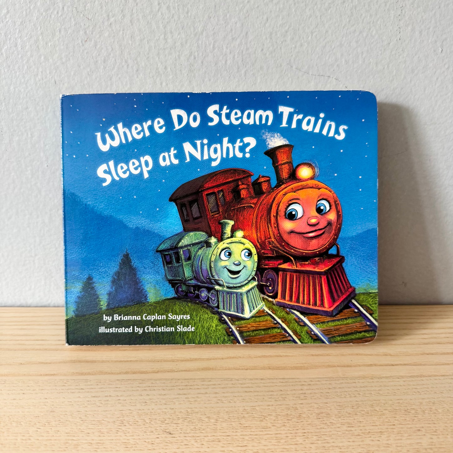 Where Do Steam Trains Sleep at Night? / Brianna Caplan Sayres