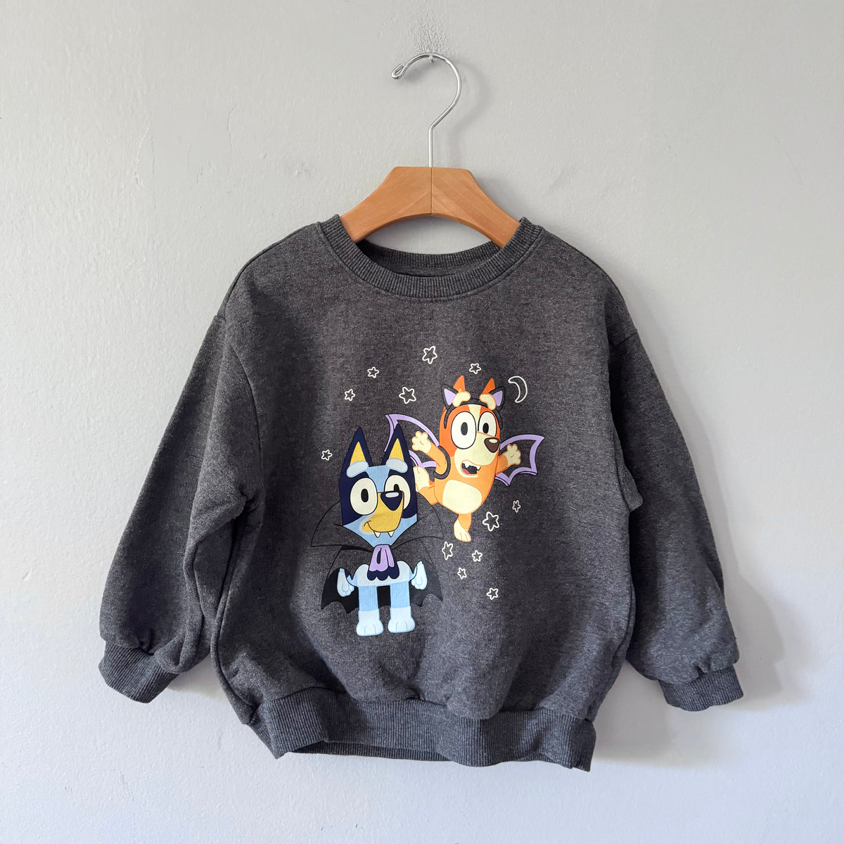 Bluey / Dark grey Halloween sweatshirt / 5T