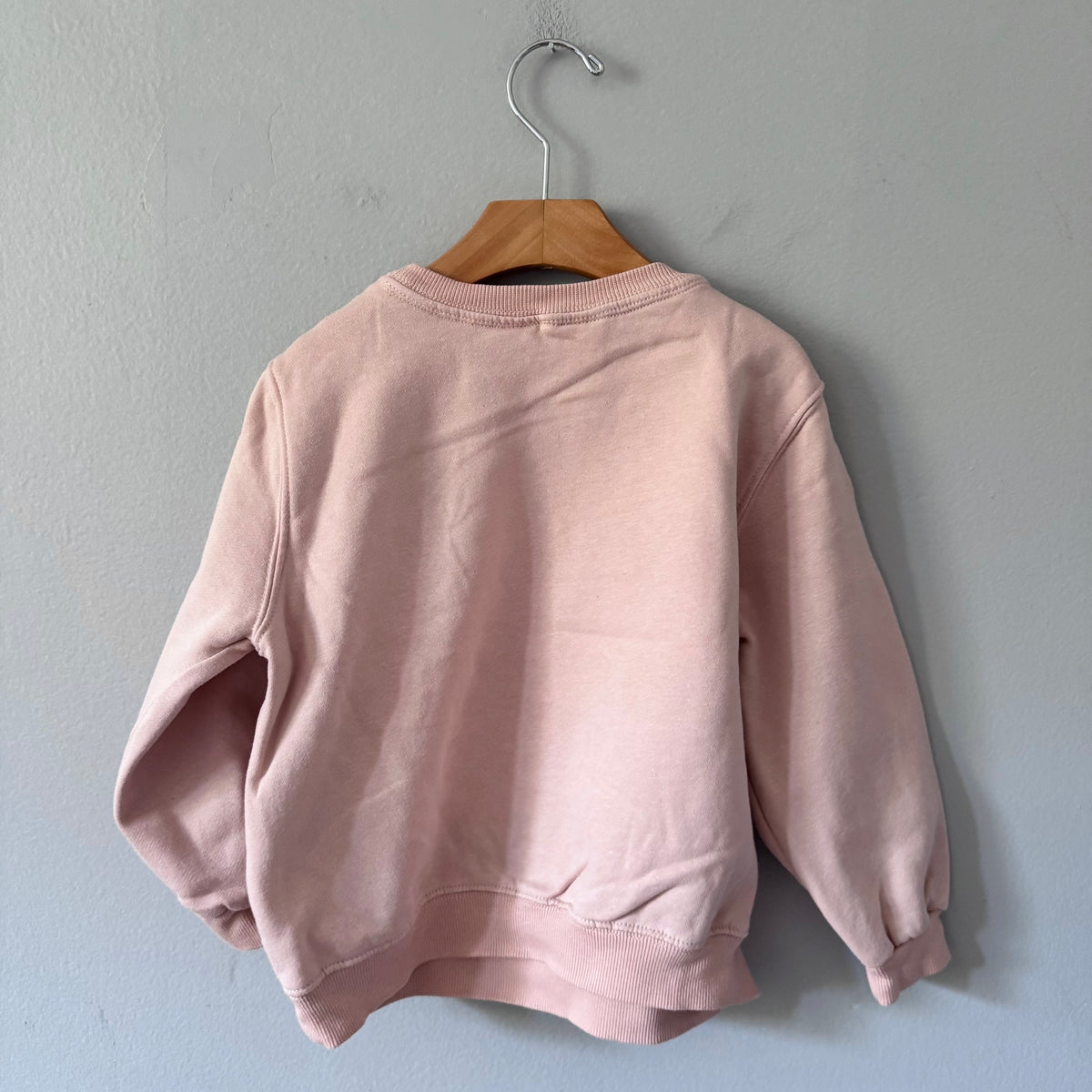 H&M / Pink x pumpkin sweatshirt / 4-6Y