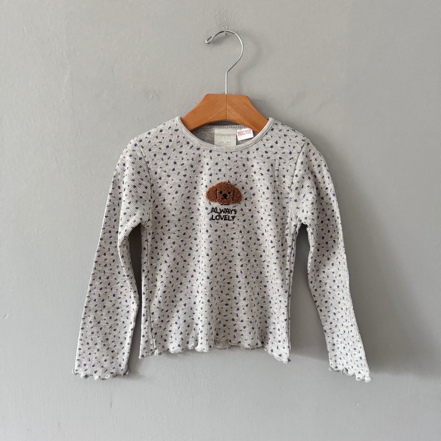Zara / Always lovely light grey long sleeve / 4Y