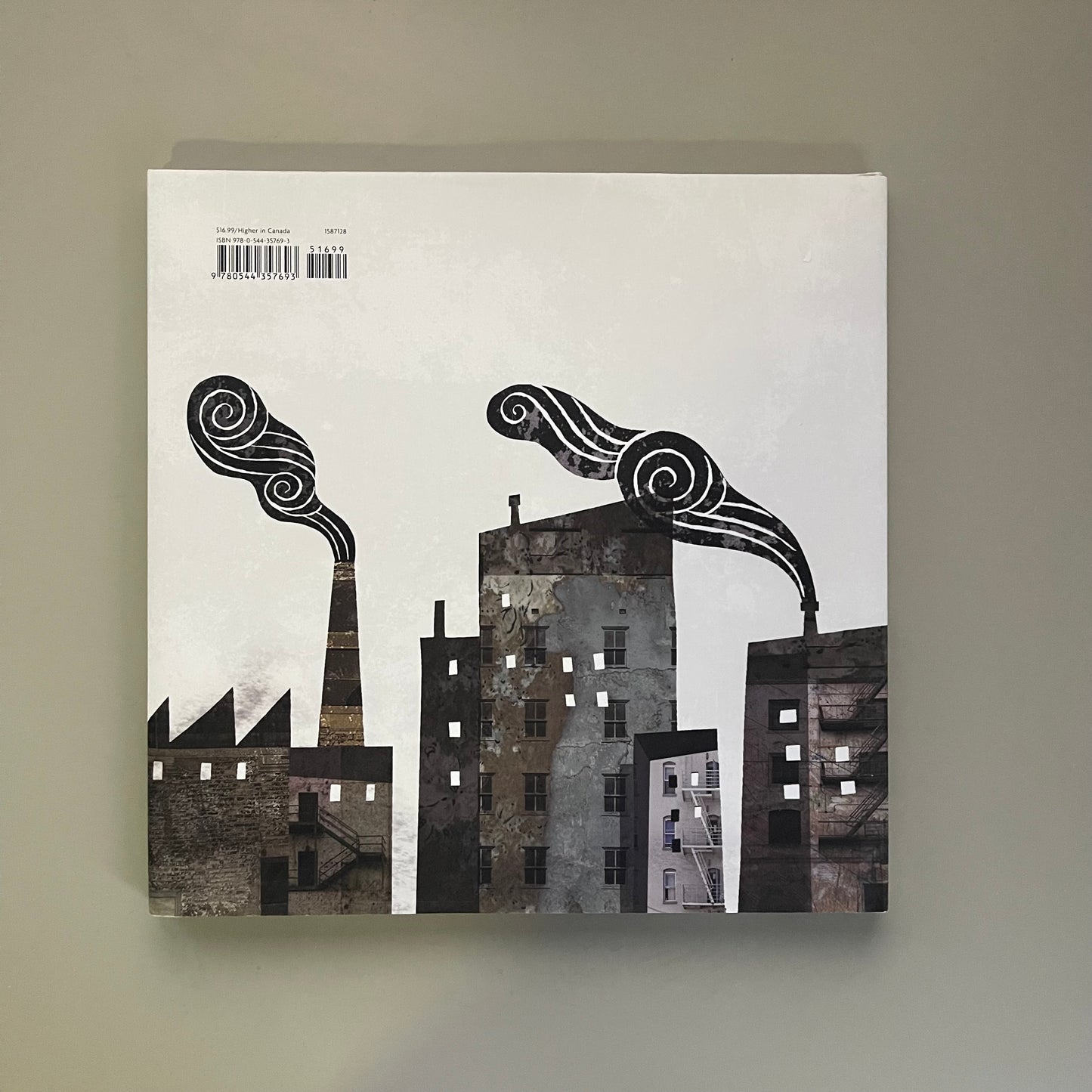 Maybe Something Beautiful / F. Isabel Campoy & Theresa Howell