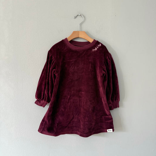 Roots / Velour dress / 4T