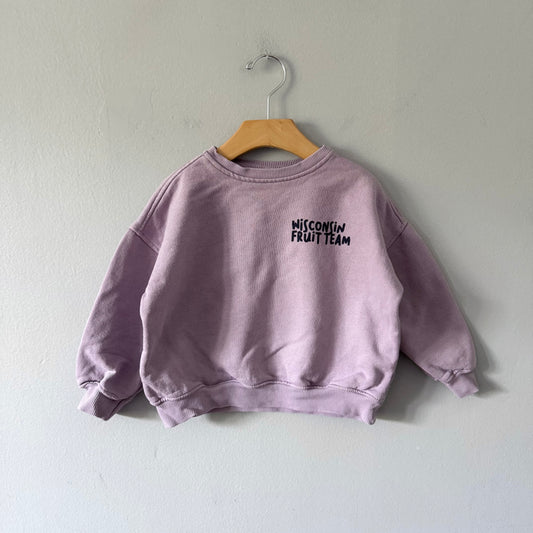 Zara / Purple sweatshirt / 3-4Y