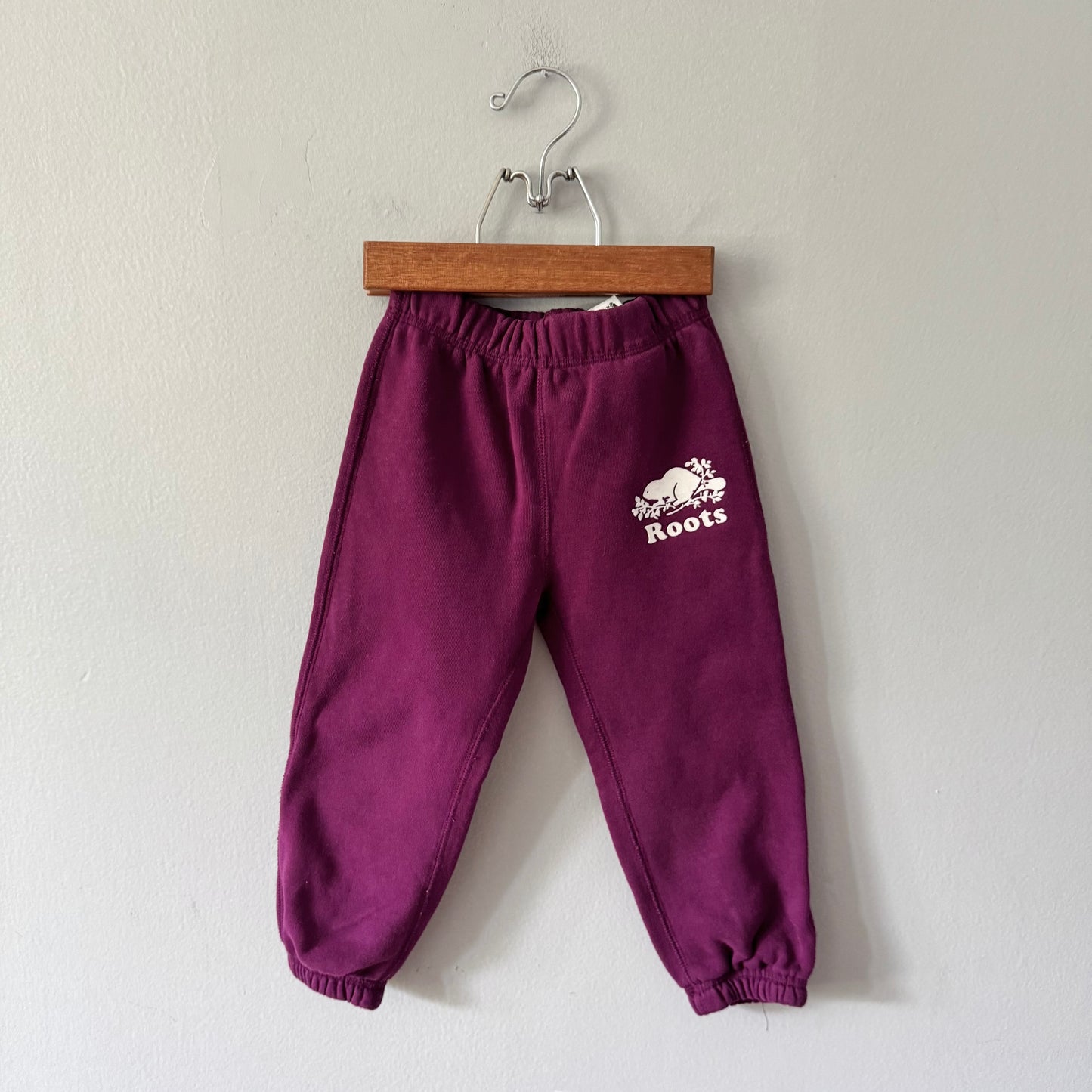 Roots / Purple sweatpants / 2T