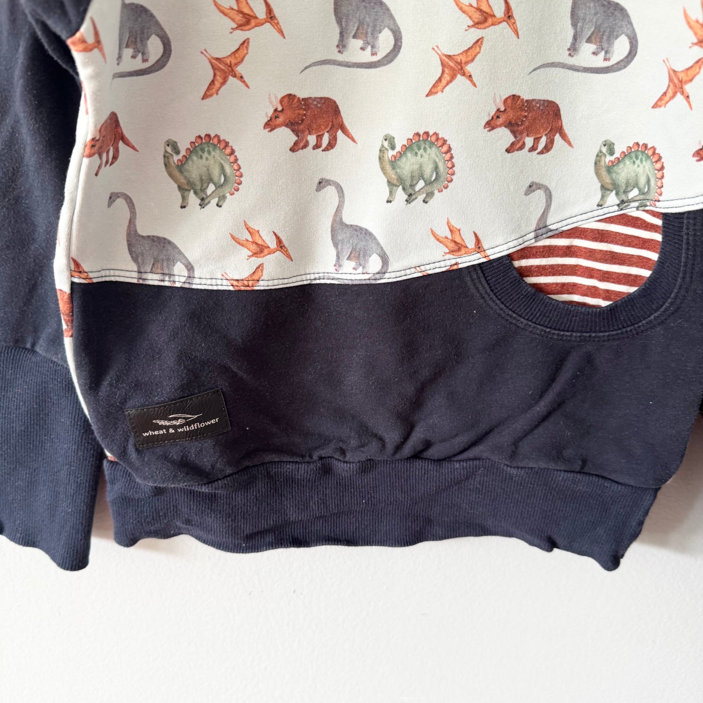 Wheat & Wild flower / Navy x dinosaur sweatshirt / 3-6T