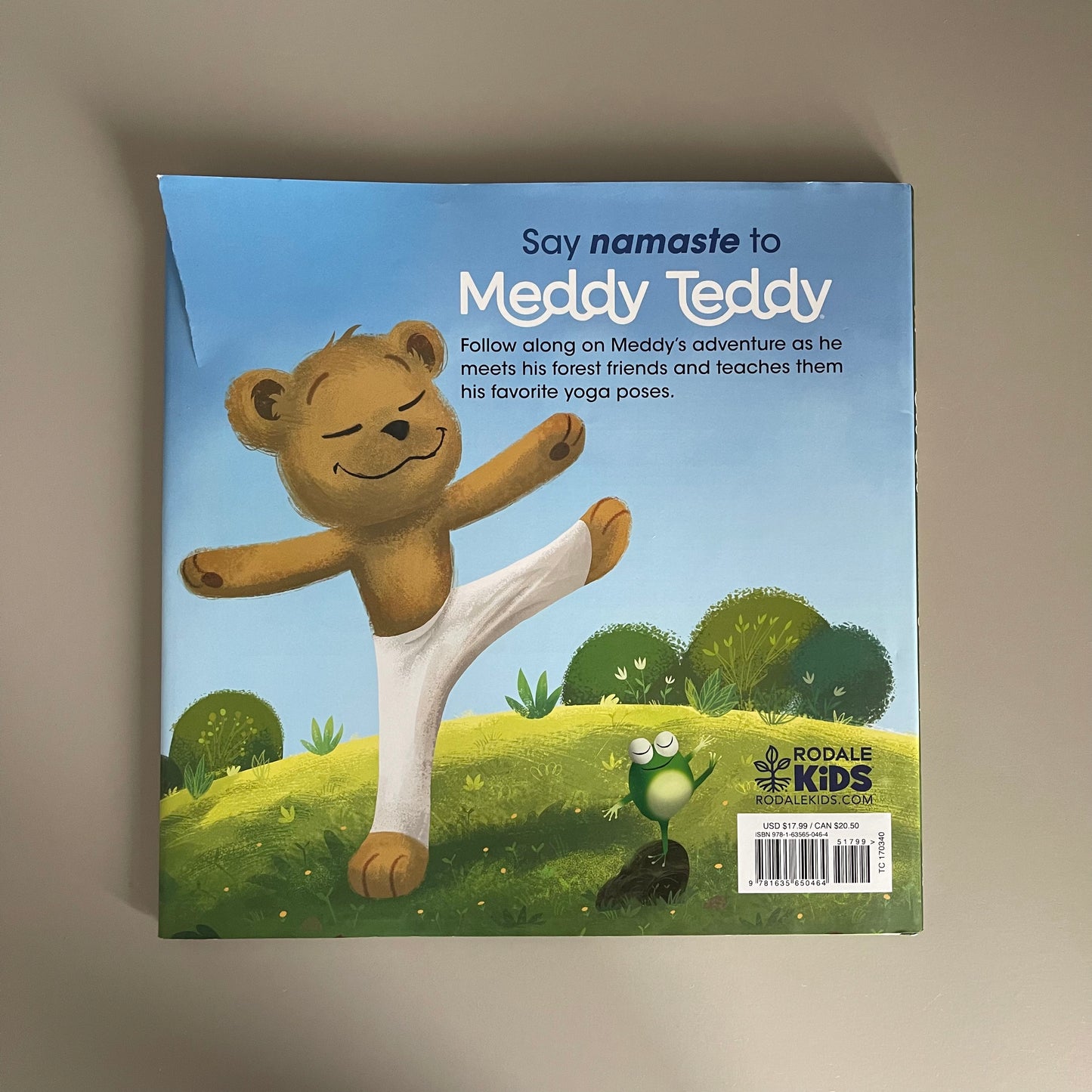 Meddy Teddy / Apple Jordan