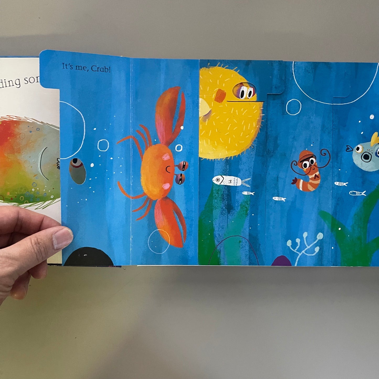 Flippy Floppy Lift-the-flap fun! - Ocean Animals