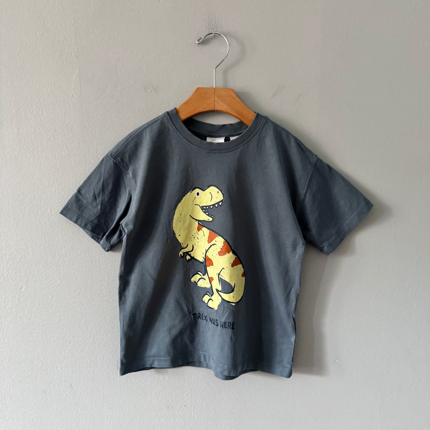 Zara / Smokey blue x dinosaur T-shirt / 5Y