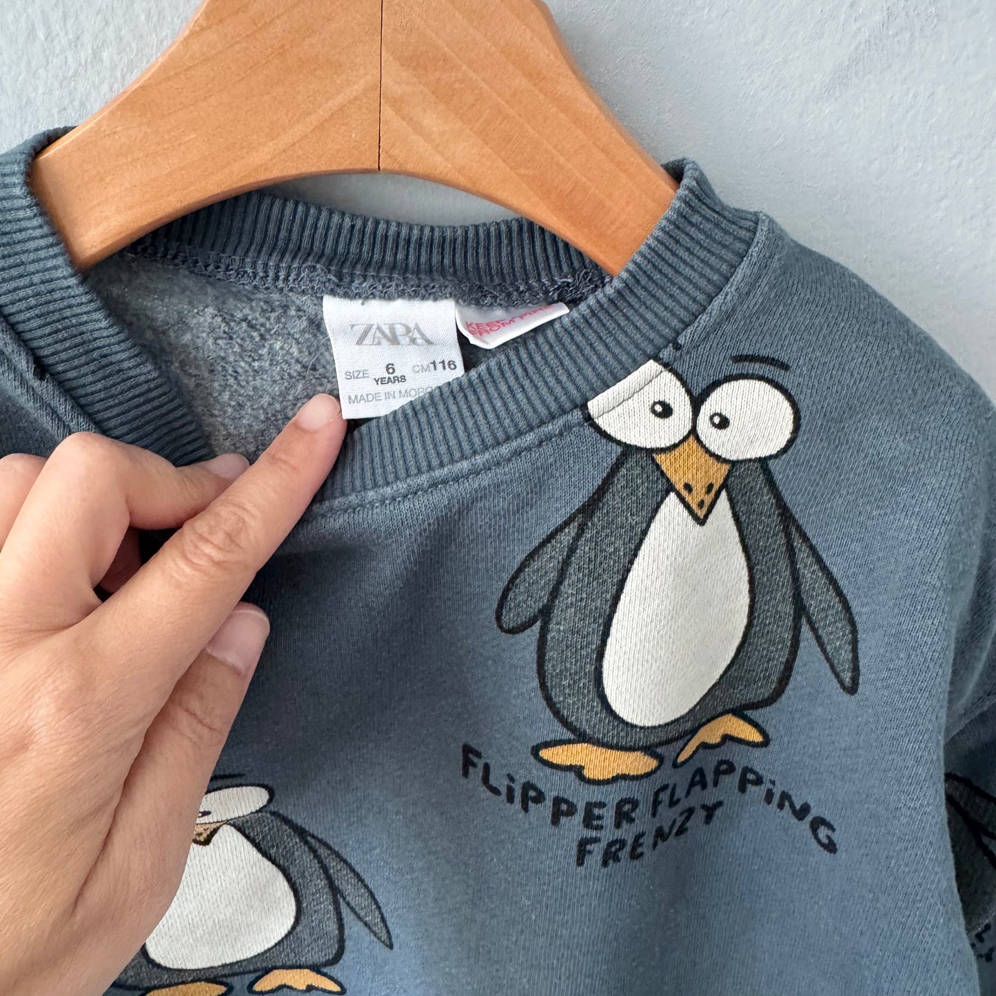 Zara / Penguin sweatshirt / 6Y
