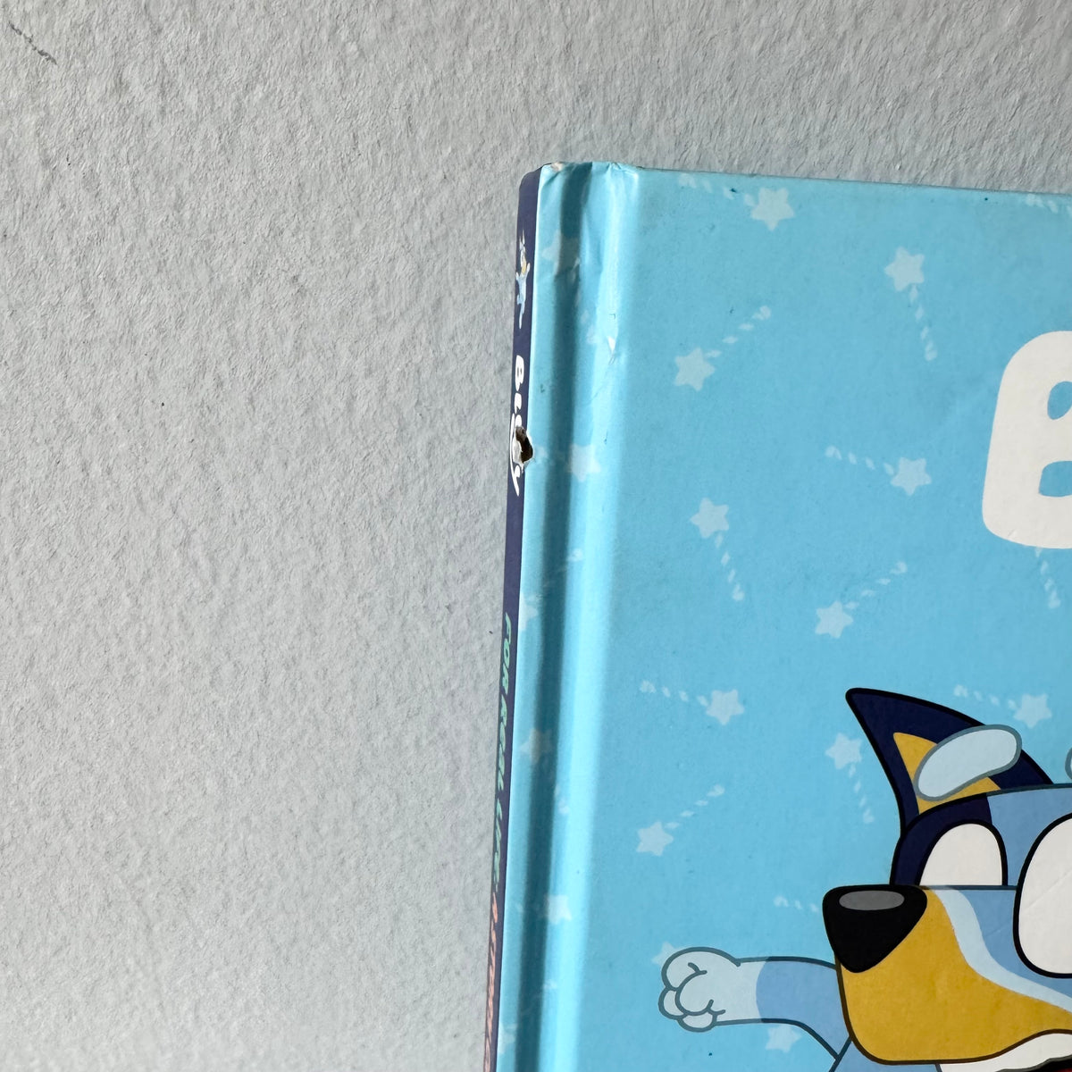 Bluey - For Real Life - A Story Collection