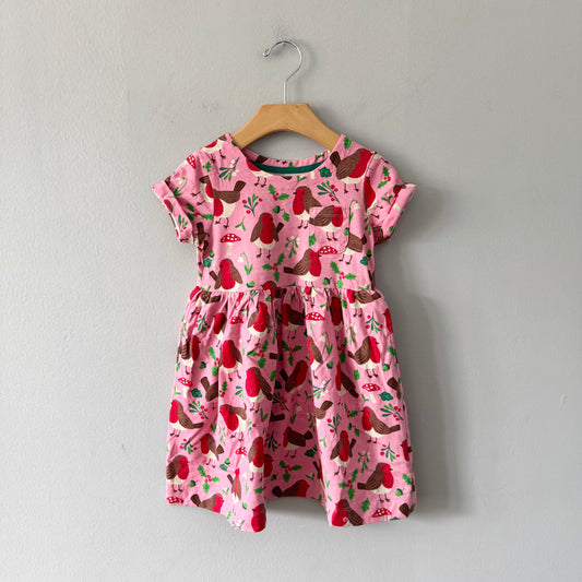 Mini Boden / Pink x bird & mushroom dress / 4-5Y