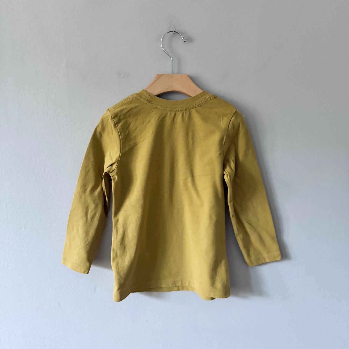 Cat & Jack / Tomato & cheese long sleeve t-shirt / 4T