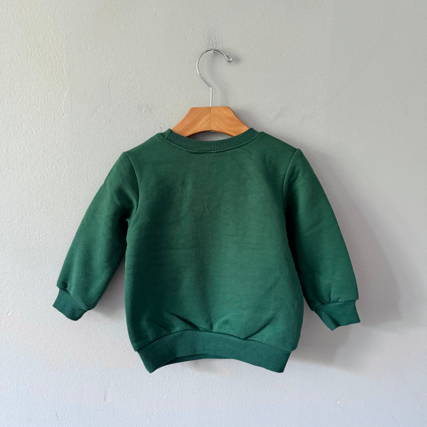 Disney / Mickey green sweatshirt / 2T
