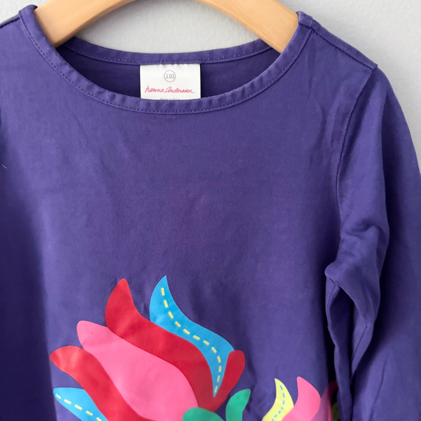 Hanna Andersson / Purple dress / 110(4Y)