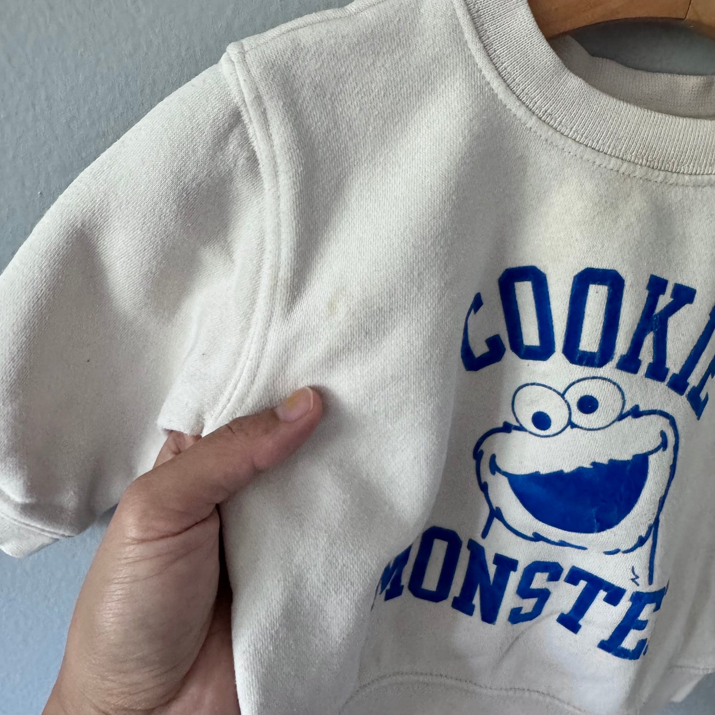Gap x Cookie Monster / White sweatshirt / 6-12M