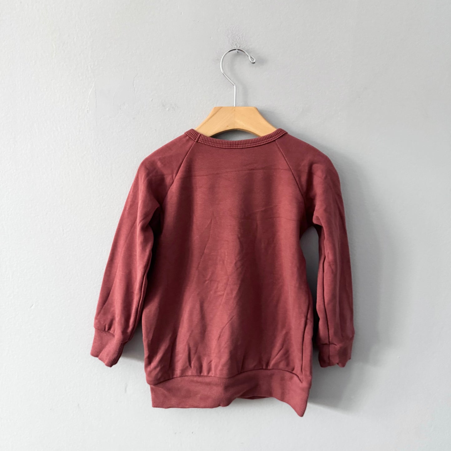 Little & Lively	/ Brown fleece lined crew top / 3-4T