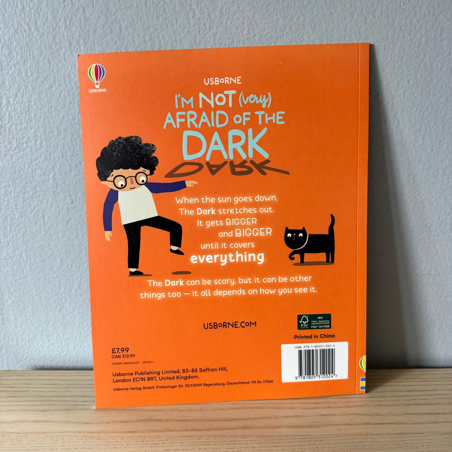 Usborne Je N'AI PAS PEUR du NOIR