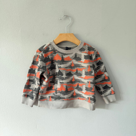 Janie & Jack / Grey x orange sweatshirt / 18-24M