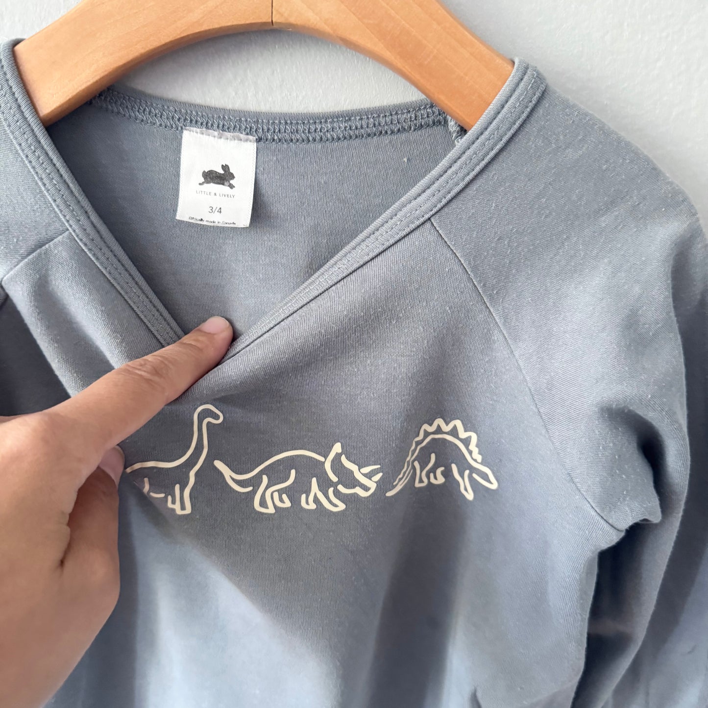 Little & Lively / Grey long sleeve / 3-4Y