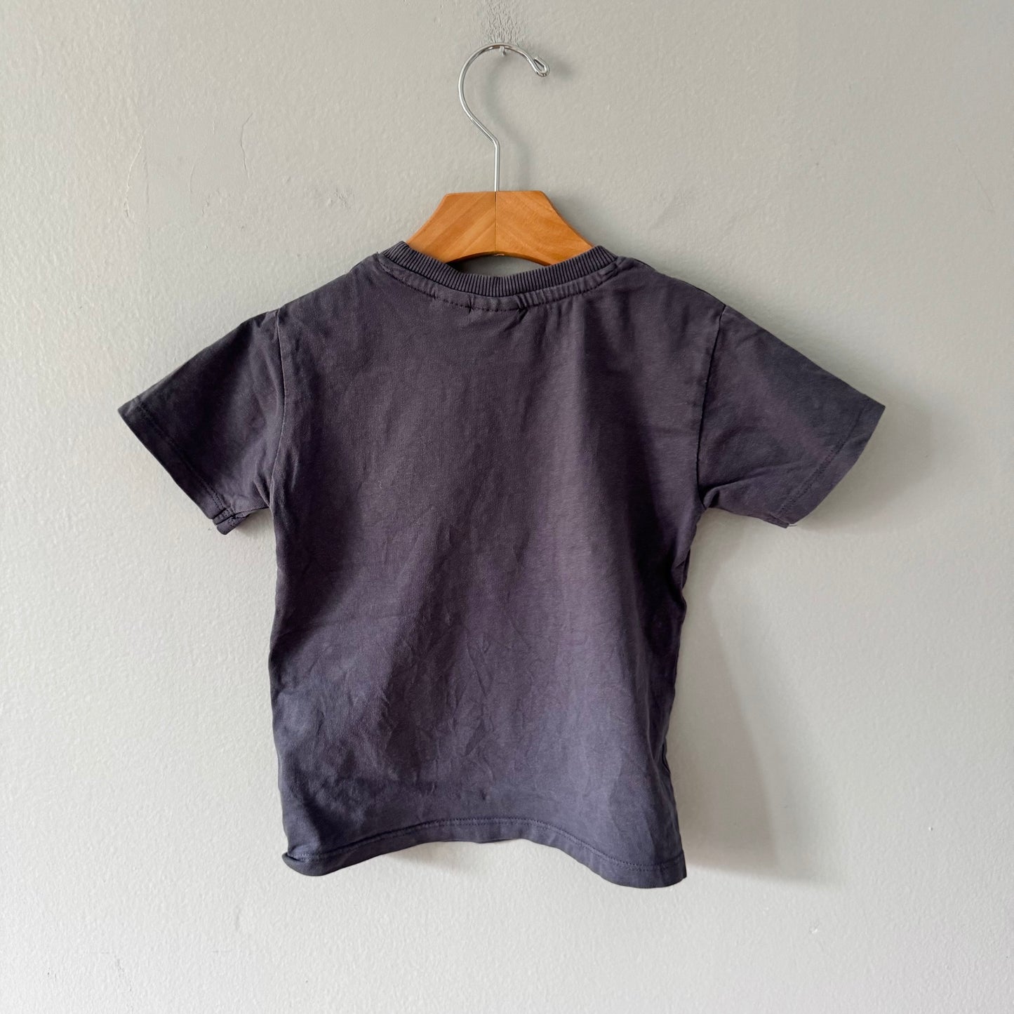 Zara / Dark grey T-shirt / 2-3Y