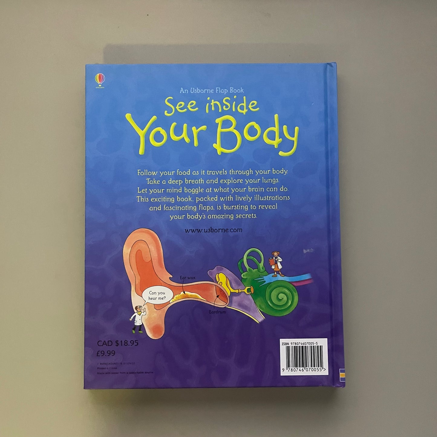 Usborne Flap Book - See inside Your Body