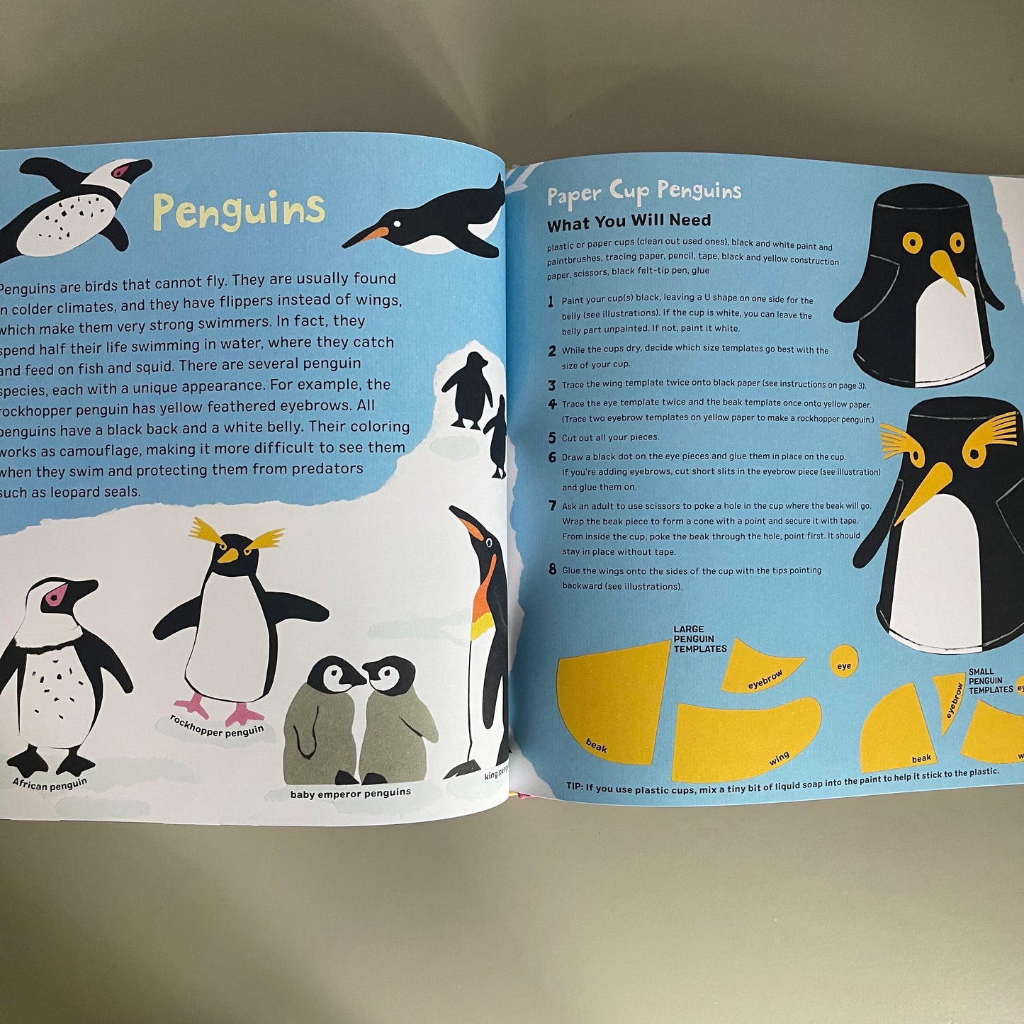 [Brand New] The Ocean Craft Book / Clare Beaton & Rudi Haig