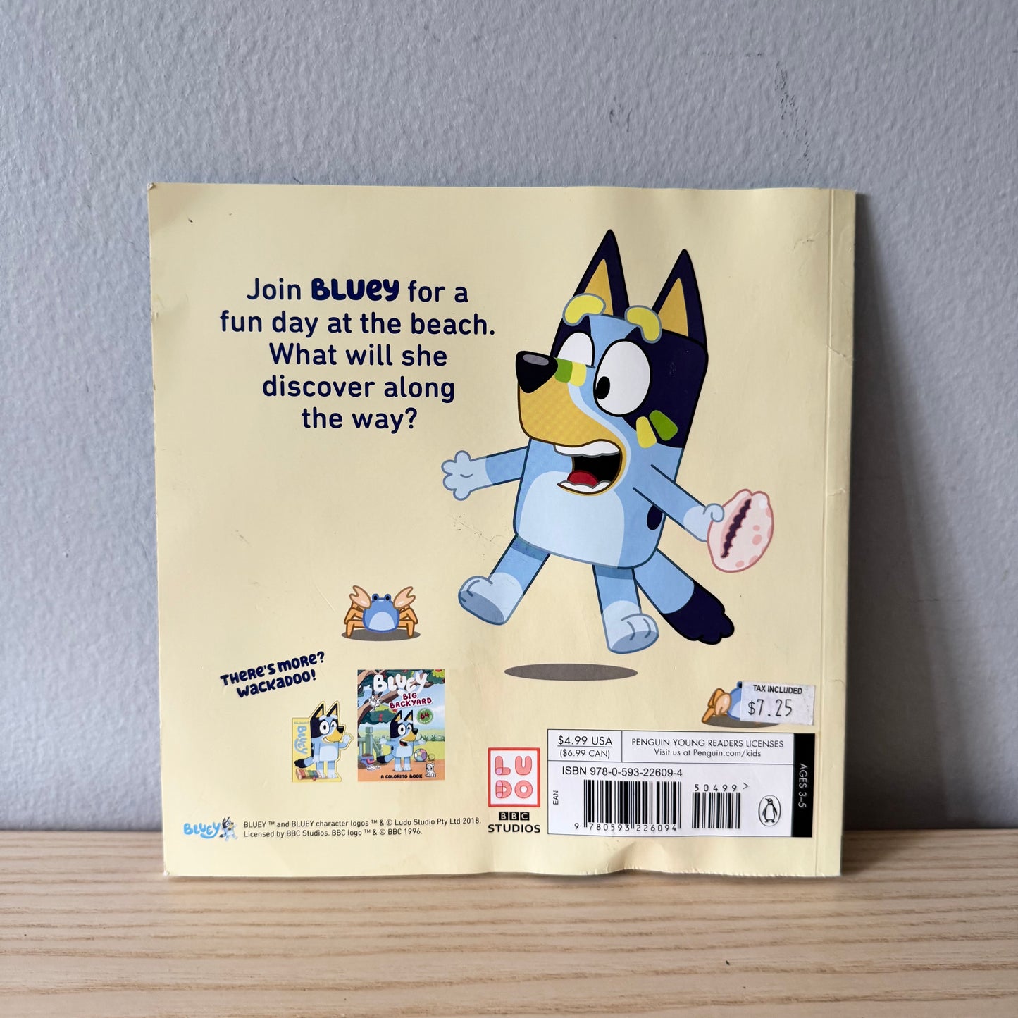 Bluey - The Beach
