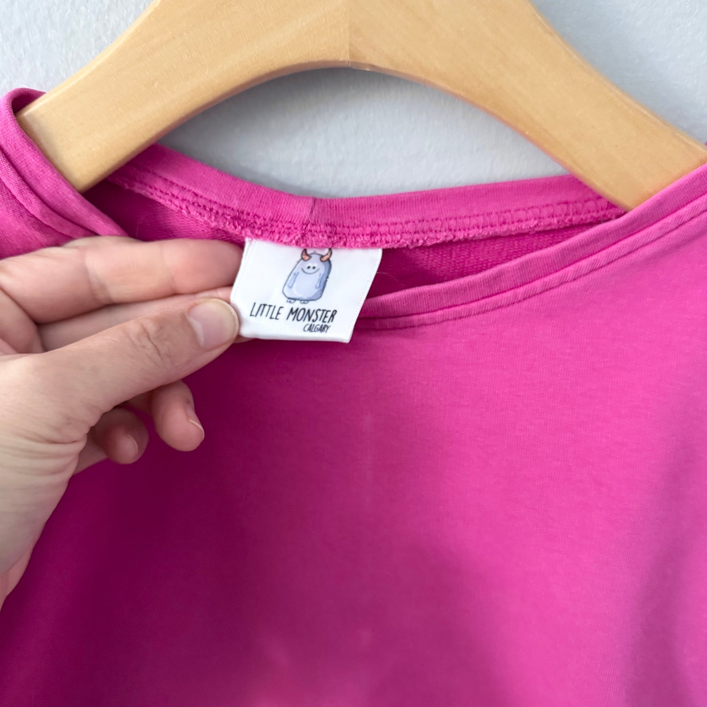 Little Monster / Pink sweatshirt / 2-3Y