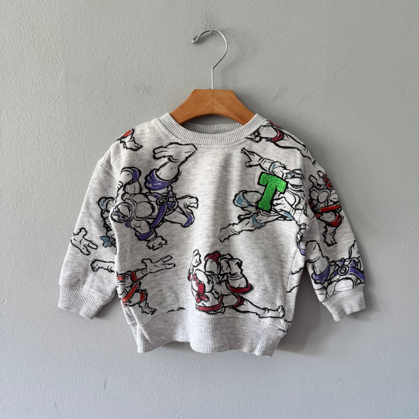Mutant Turtles / Light grey sweatshirt / 2T