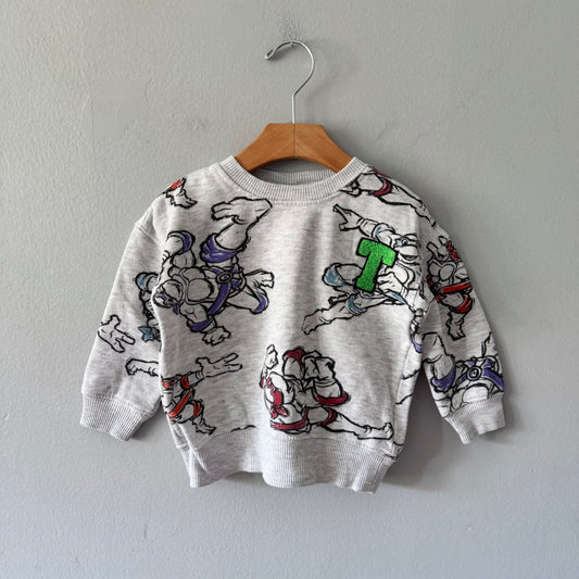 Mutant Turtles / Light grey sweatshirt / 2T