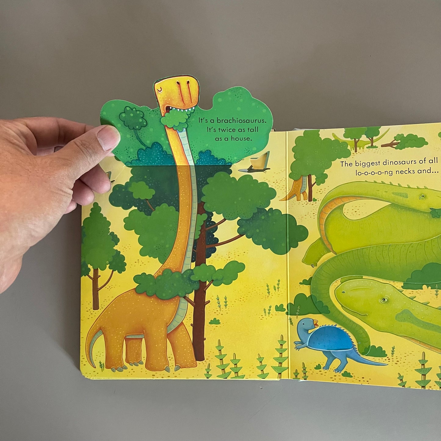 Usborne - Peep Inside Dinosaurs