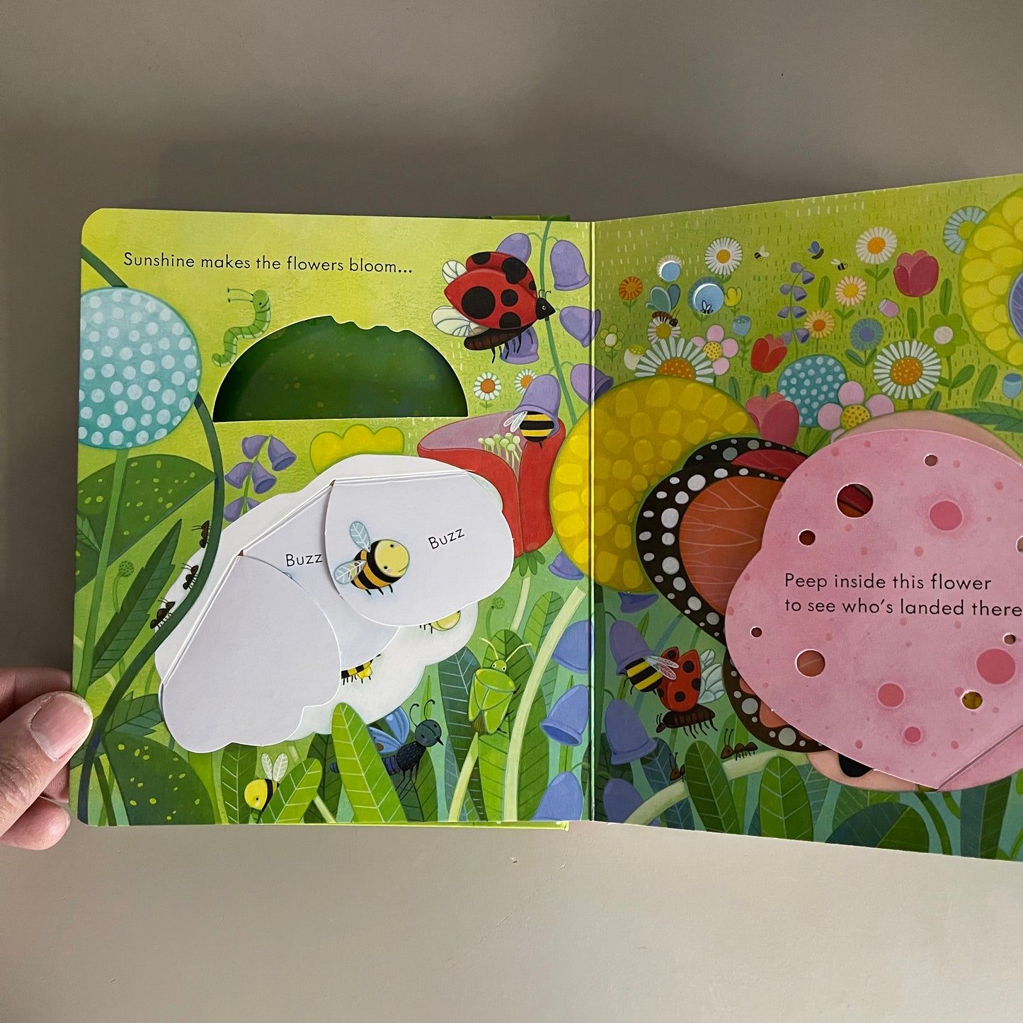 Usborne Peep Inside the Garden