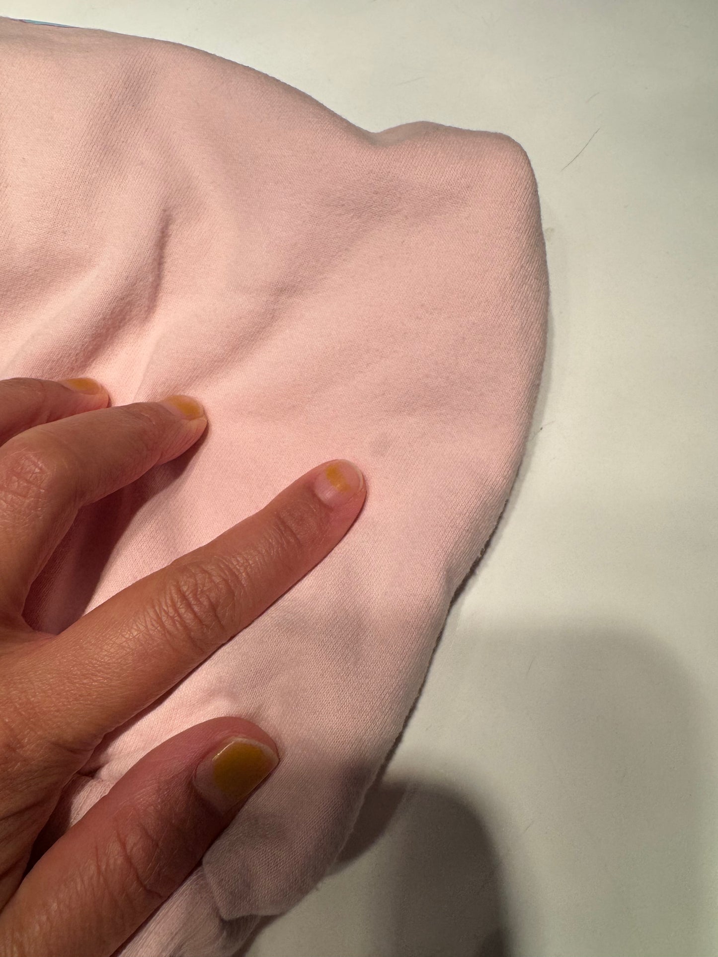 Sesame Street / Light pink sweatshirt / 5T