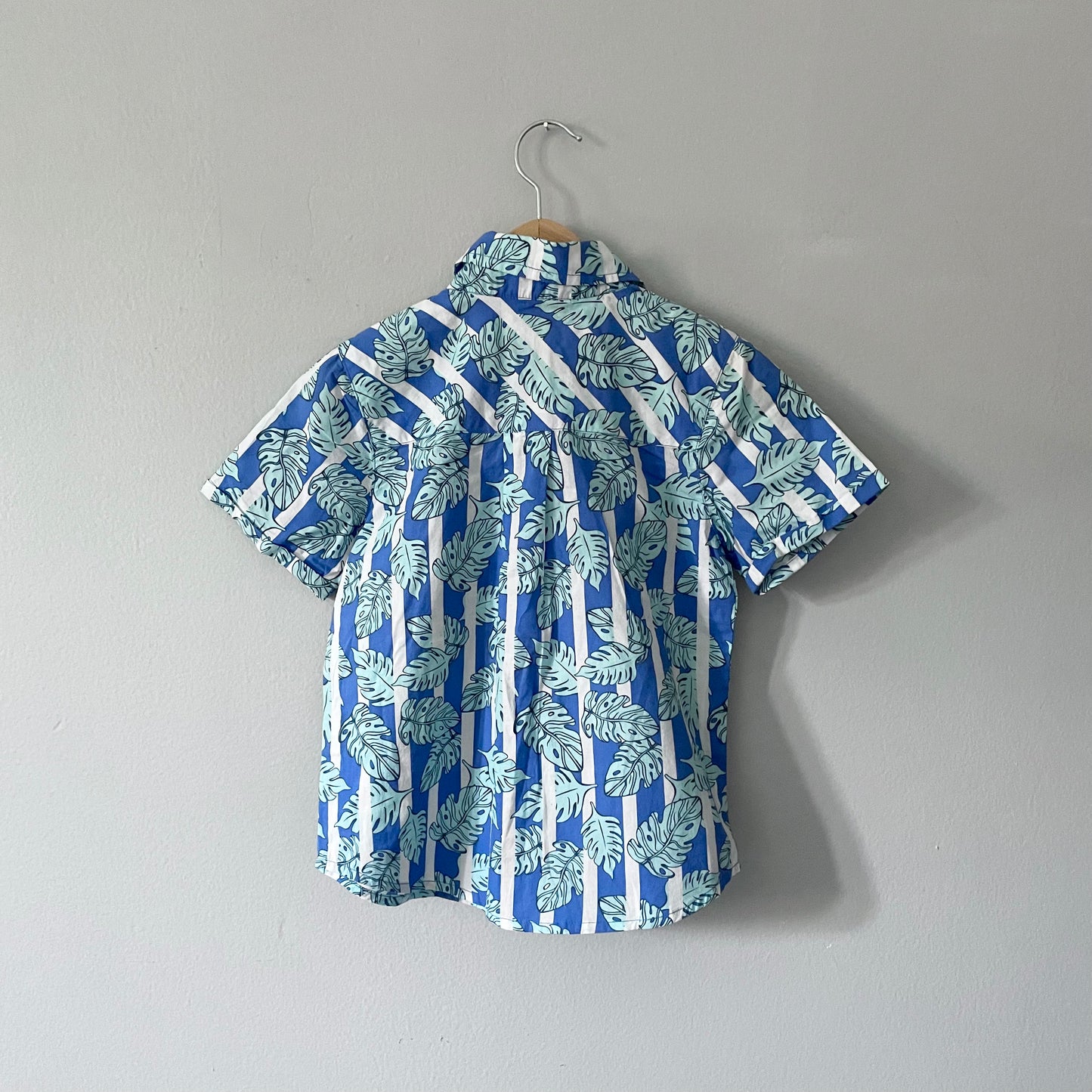 Egg New York / Cotton shirt / 6Y