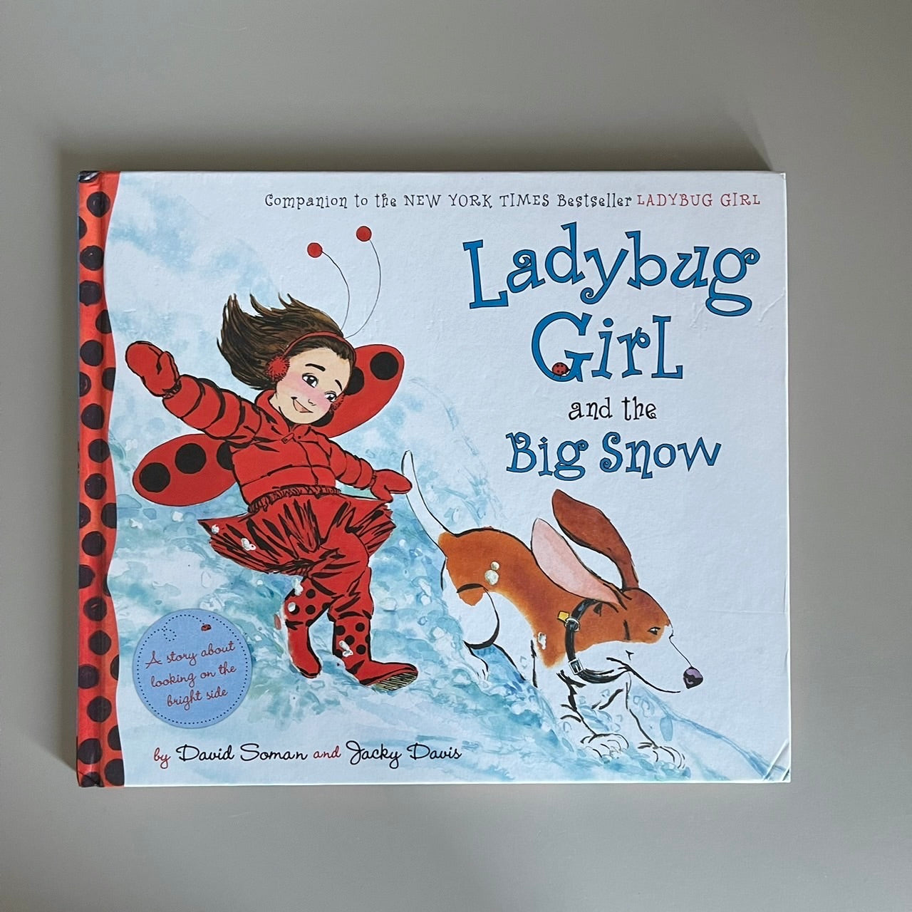 Ladybug Girl and the Big Snow / David Soman