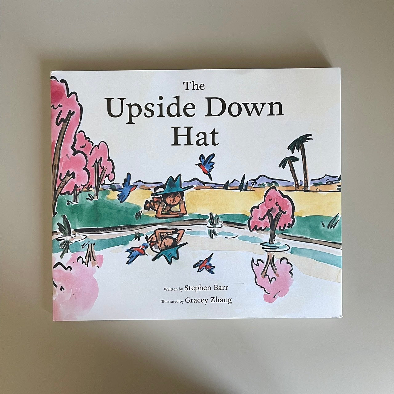 The Upside Down Hat / Stephen Barr