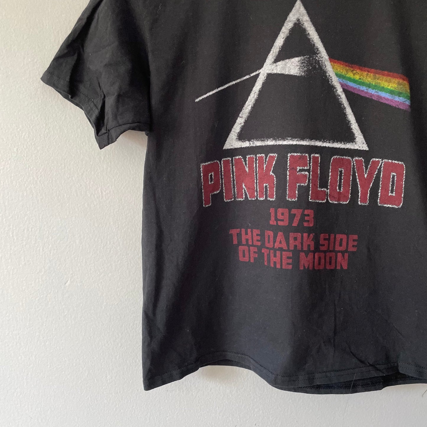 Pink Floyd / Black T-shirt / Adult L(Mens)