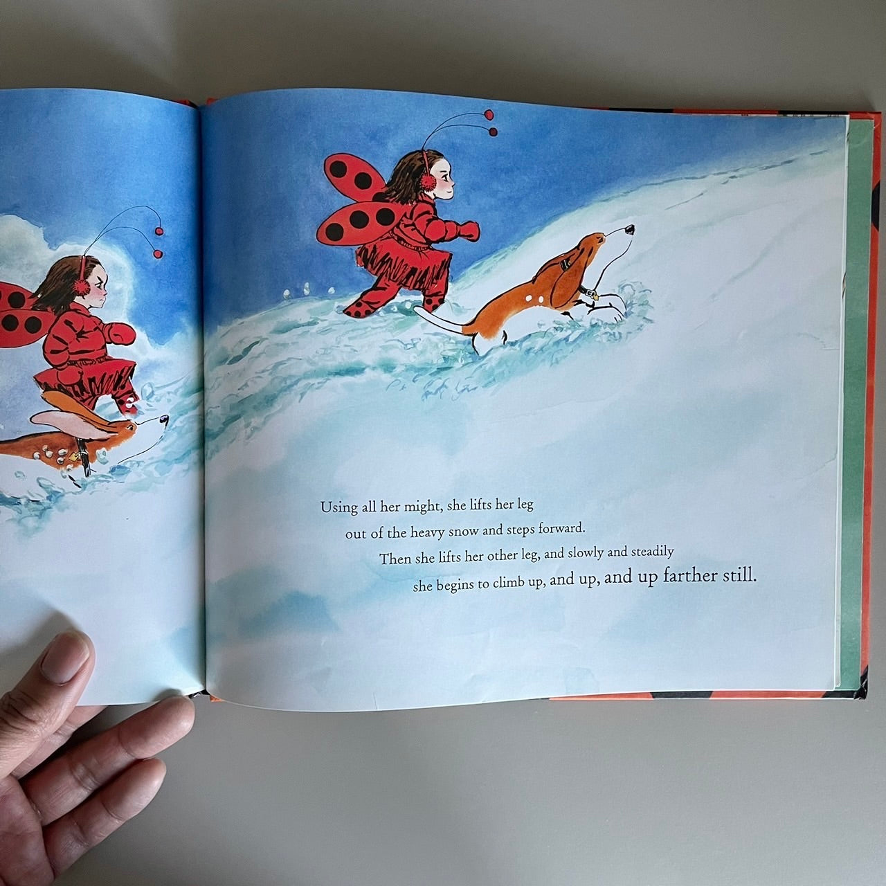 Ladybug Girl and the Big Snow / David Soman