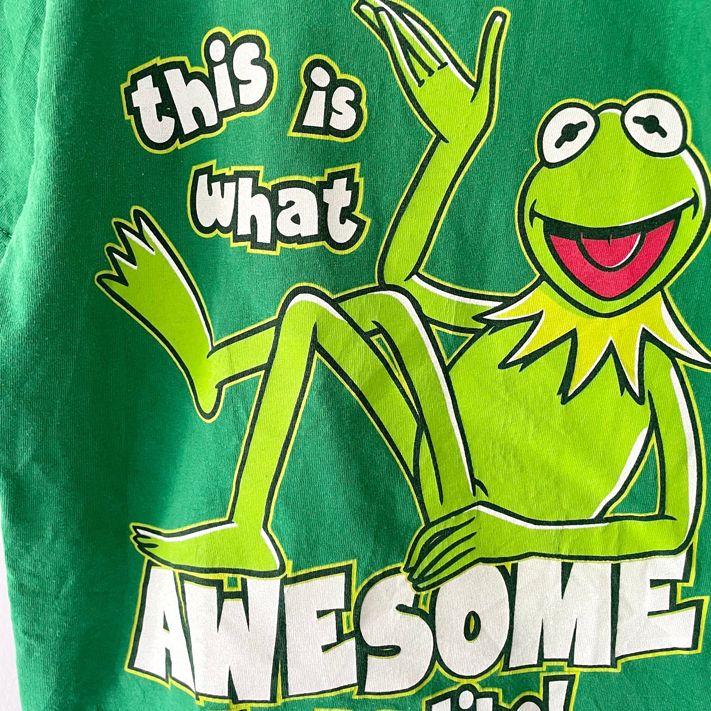 Disney the Muppets / T-shirt / S(10-12Y)